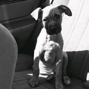 Meet your Posher, Tia